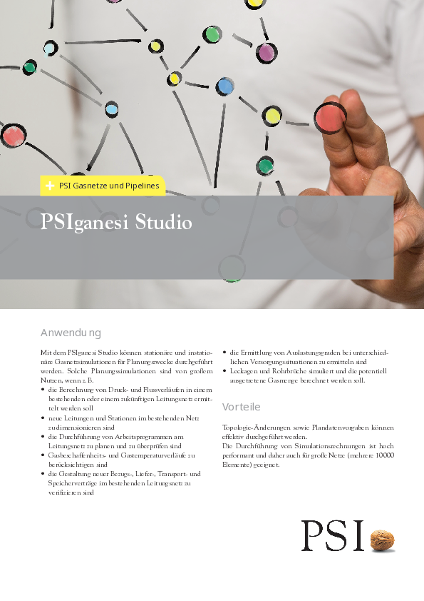 PSIganesi/Studio Flyer