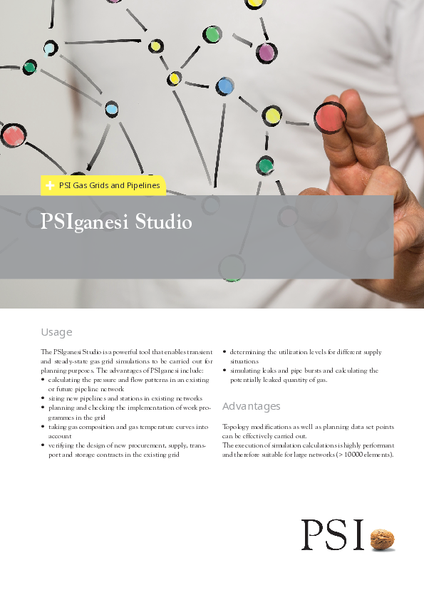 PSIganesi/Studio flyer