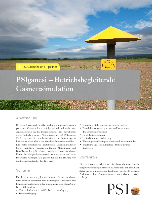 PSIganesi/Online Flyer